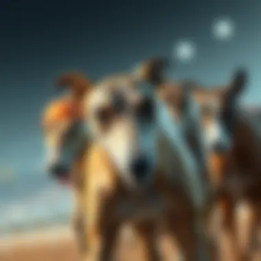 Analysis of race conditions and statistics