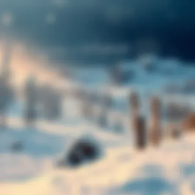 Winter landscape inspired by Game of Thrones Stunning visual of the winter landscape from Game of Thrones